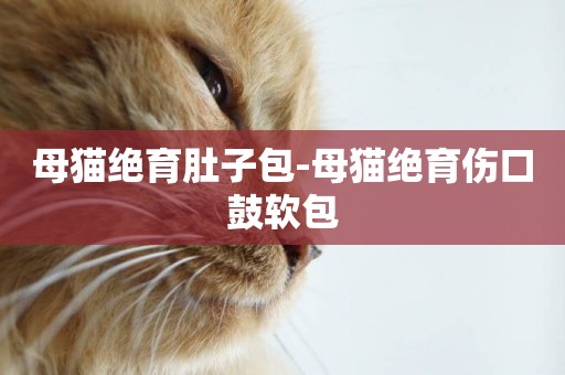 母貓絕育肚子包-母貓絕育傷口鼓軟包