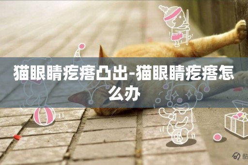 貓眼睛疙瘩凸出-貓眼睛疙瘩怎么辦