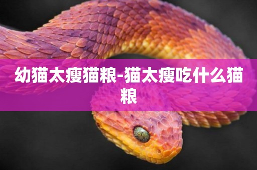 幼貓太瘦貓糧-貓太瘦吃什么貓糧