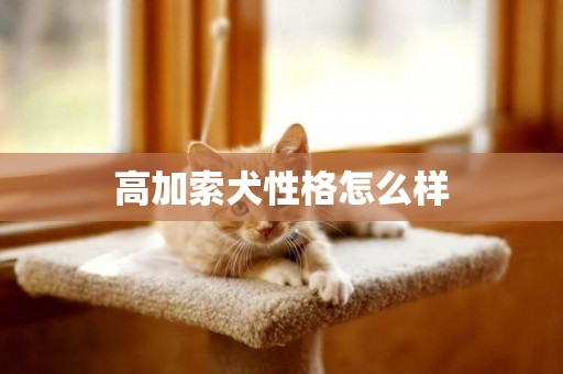 高加索犬性格怎么樣