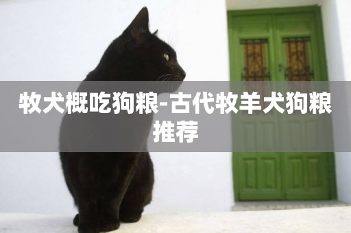 牧犬概吃狗糧-古代牧羊犬狗糧推薦