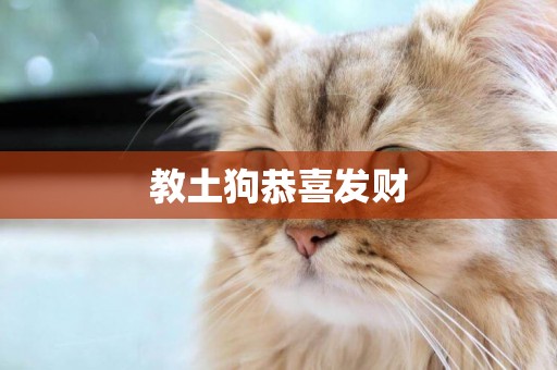 教土狗恭喜發財