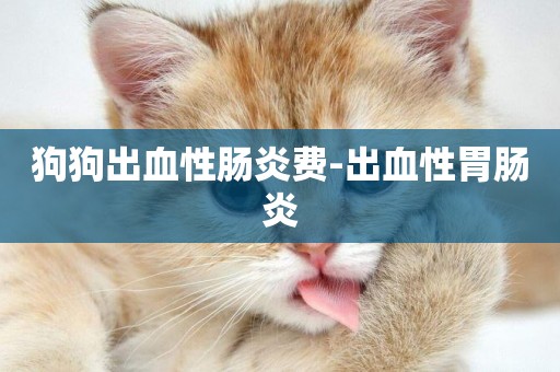 狗狗出血性腸炎費-出血性胃腸炎
