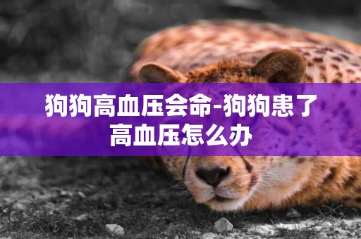 狗狗高血壓會命-狗狗患了高血壓怎么辦