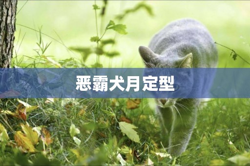 惡霸犬月定型