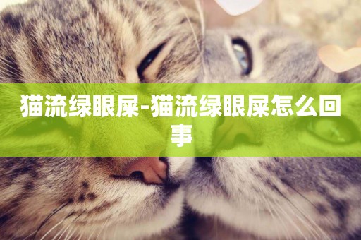 貓流綠眼屎-貓流綠眼屎怎么回事