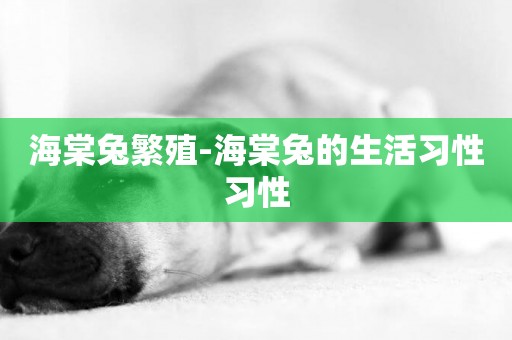海棠兔繁殖-海棠兔的生活習性習性