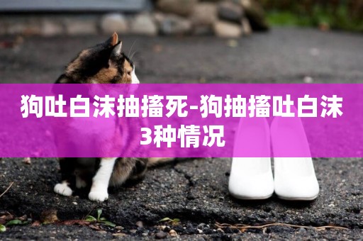狗吐白沫抽搐死-狗抽搐吐白沫3種情況