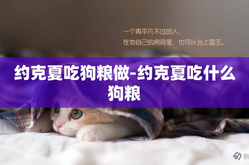 約克夏吃狗糧做-約克夏吃什么狗糧