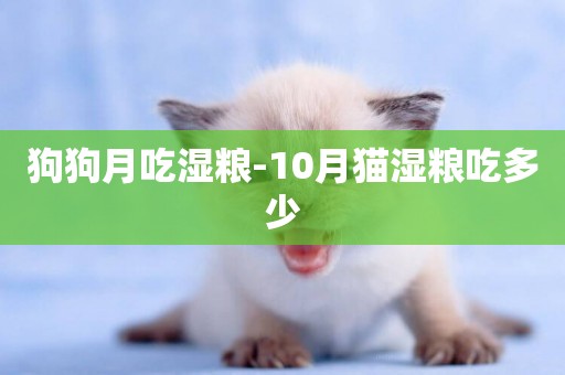 狗狗月吃濕糧-10月貓濕糧吃多少