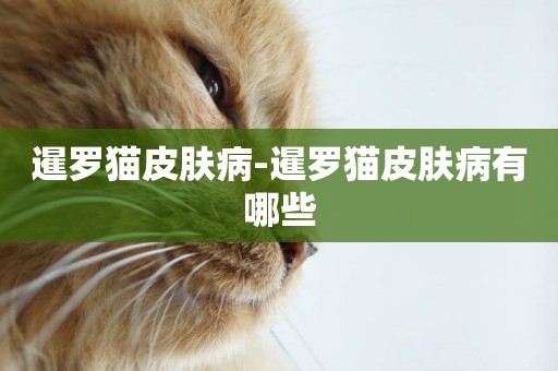 暹羅貓皮膚病-暹羅貓皮膚病有哪些