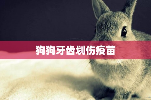 狗狗牙齒劃傷疫苗