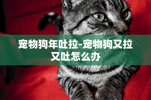寵物狗年吐拉-寵物狗又拉又吐怎么辦