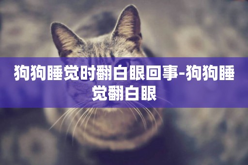 狗狗睡覺時翻白眼回事-狗狗睡覺翻白眼
