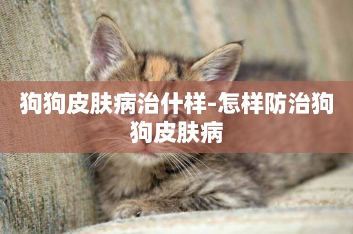 狗狗皮膚病治什樣-怎樣防治狗狗皮膚病