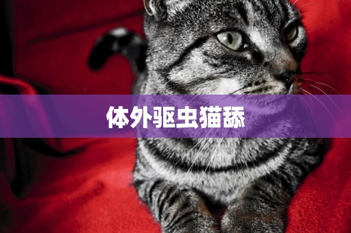 體外驅蟲貓舔