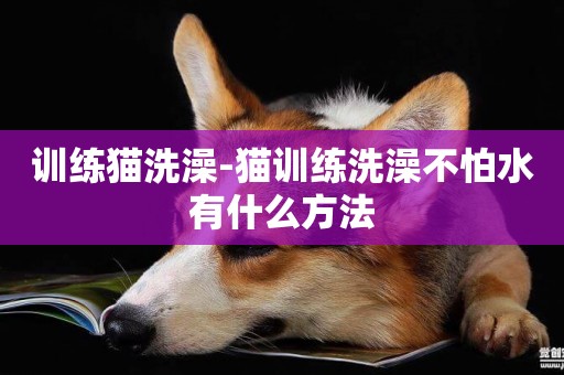 訓練貓洗澡-貓訓練洗澡不怕水有什么方法