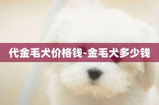 代金毛犬價格錢-金毛犬多少錢