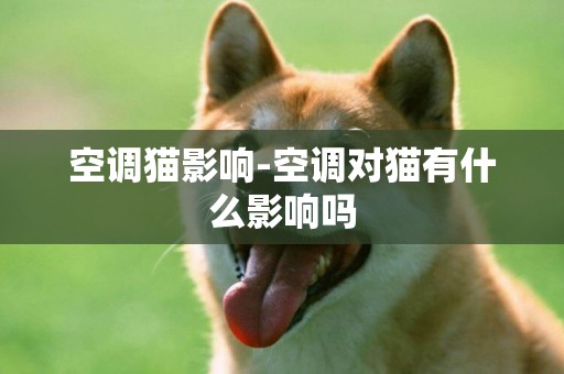 空調貓影響-空調對貓有什么影響嗎
