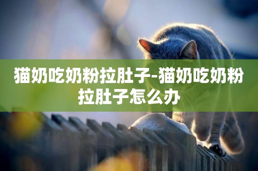 貓奶吃奶粉拉肚子-貓奶吃奶粉拉肚子怎么辦