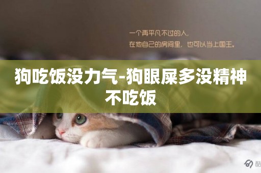 狗吃飯沒力氣-狗眼屎多沒精神不吃飯