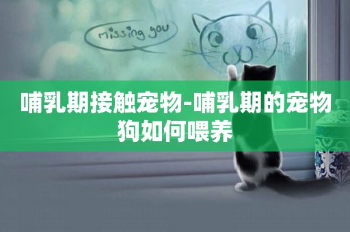 哺乳期接觸寵物-哺乳期的寵物狗如何喂養