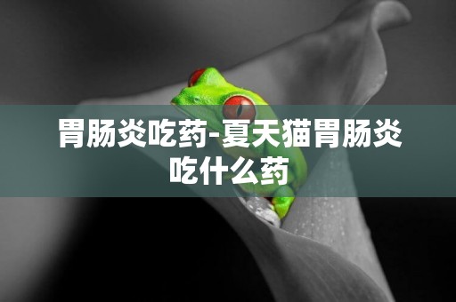 胃腸炎吃藥-夏天貓胃腸炎吃什么藥