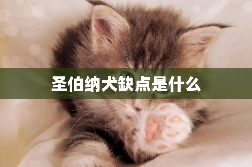 圣伯納犬缺點是什么