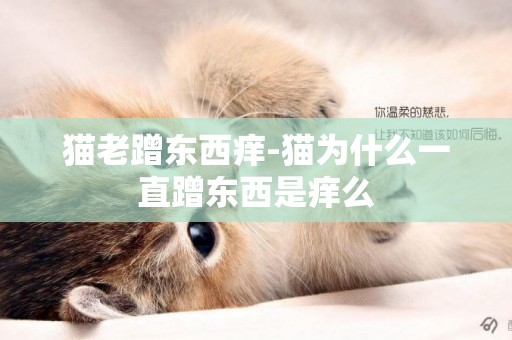 貓老蹭東西癢-貓為什么一直蹭東西是癢么