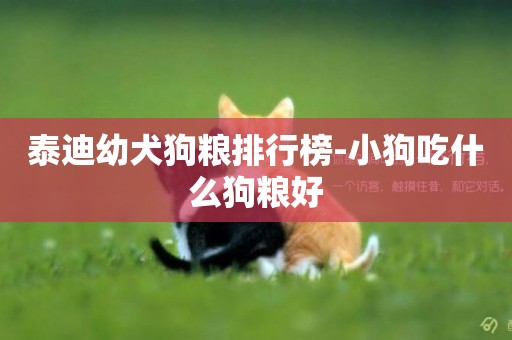 泰迪幼犬狗糧排行榜-小狗吃什么狗糧好