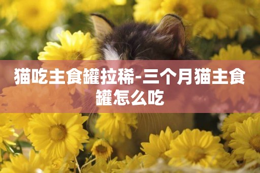 貓吃主食罐拉稀-三個月貓主食罐怎么吃