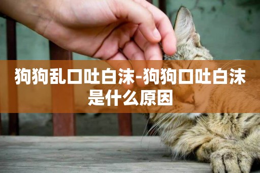 狗狗亂口吐白沫-狗狗口吐白沫是什么原因