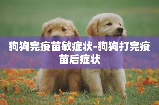 狗狗完疫苗敏癥狀-狗狗打完疫苗后癥狀