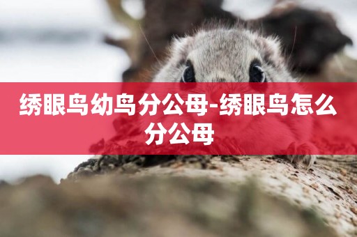 繡眼鳥幼鳥分公母-繡眼鳥怎么分公母