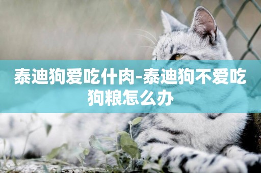 泰迪狗愛吃什肉-泰迪狗不愛吃狗糧怎么辦
