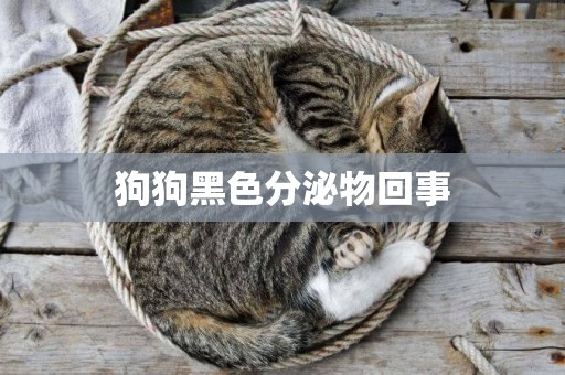 狗狗黑色分泌物回事