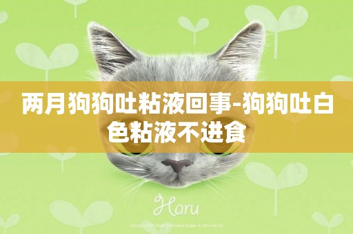 兩月狗狗吐粘液回事-狗狗吐白色粘液不進食