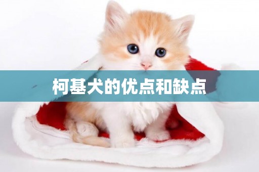 柯基犬的優點和缺點