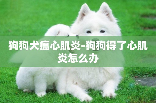 狗狗犬瘟心肌炎-狗狗得了心肌炎怎么辦