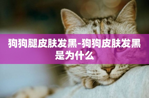 狗狗腿皮膚發黑-狗狗皮膚發黑是為什么