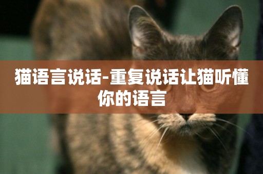 貓語言說話-重復說話讓貓聽懂你的語言