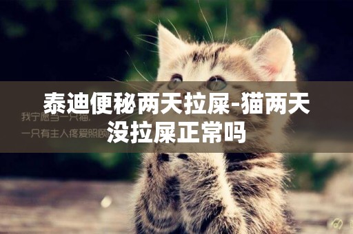 泰迪便秘兩天拉屎-貓兩天沒拉屎正常嗎