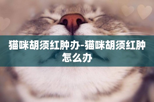 貓咪胡須紅腫辦-貓咪胡須紅腫怎么辦