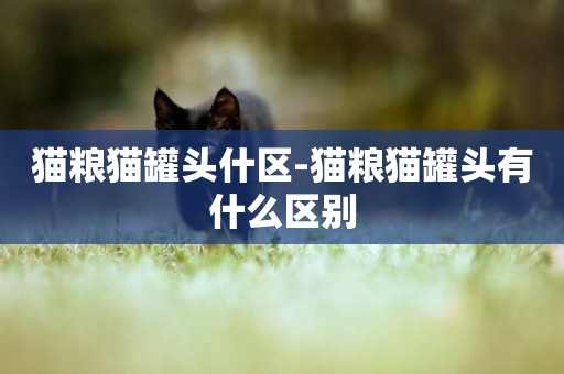 貓糧貓罐頭什區-貓糧貓罐頭有什么區別