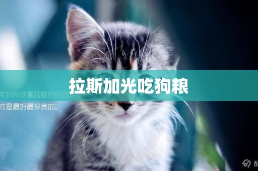 拉斯加光吃狗糧