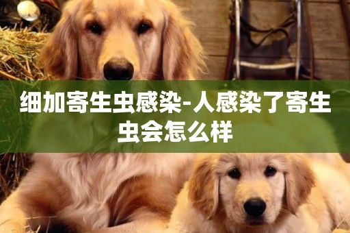 細加寄生蟲感染-人感染了寄生蟲會怎么樣