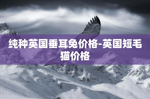 純種英國垂耳兔價格-英國短毛貓價格