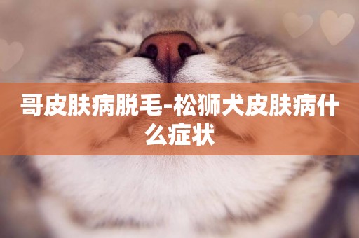 哥皮膚病脫毛-松獅犬皮膚病什么癥狀