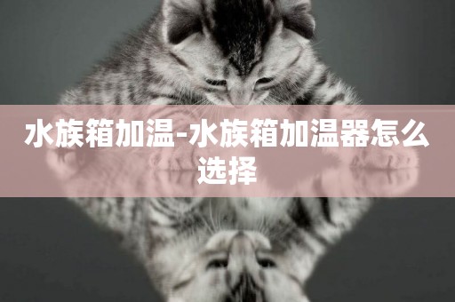 水族箱加溫-水族箱加溫器怎么選擇