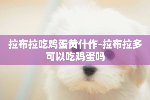拉布拉吃雞蛋黃什作-拉布拉多可以吃雞蛋嗎